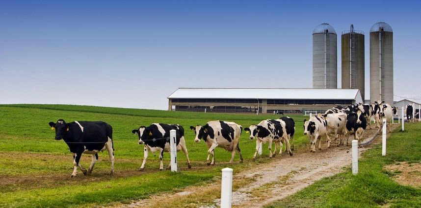 e72e81ee8e4f3ccd3598a599598c5527jpg