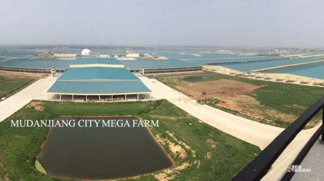 mudanjiang