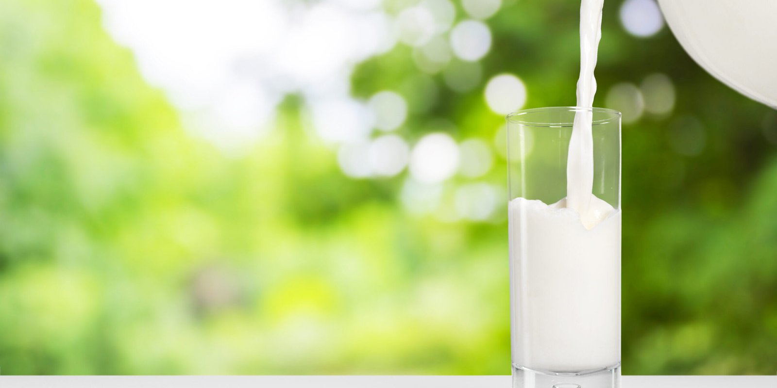 A glass of milk on a natural background