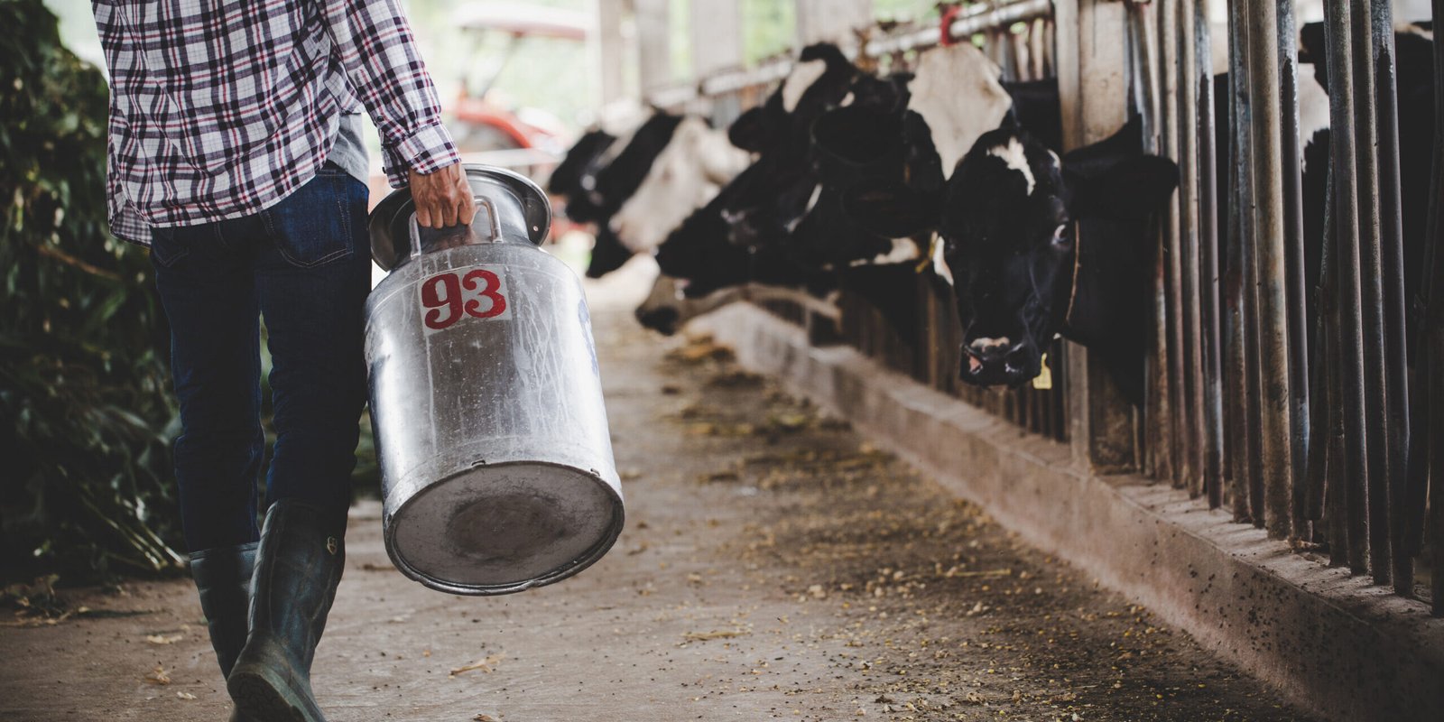 Close-up view on the legs of farmer working with fresh grass at