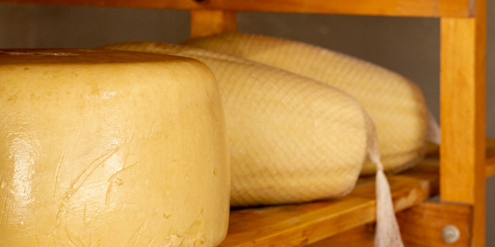 rodas-de-queijo-saboroso-close-up