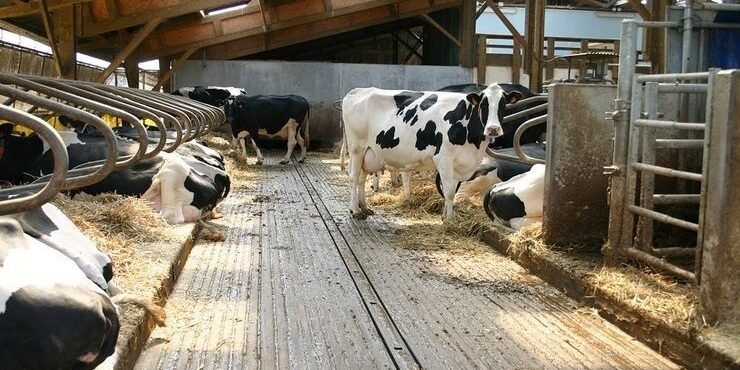 2474aa864aa34fe4a1b1fc4430f2a541