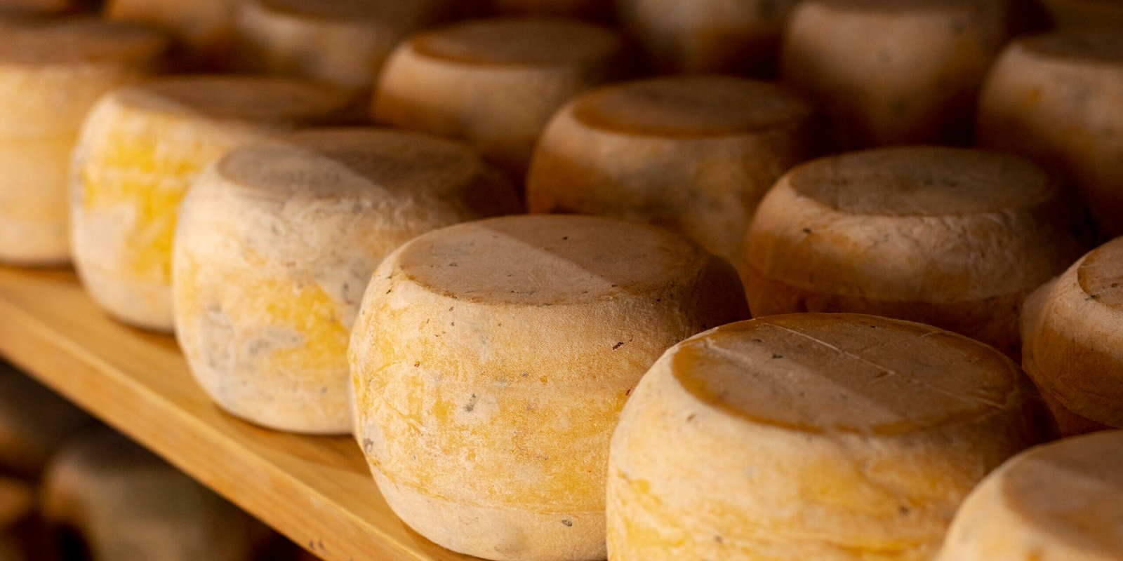 assortment-cheese-wheels-shelf