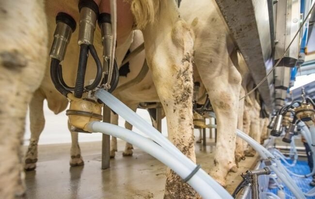 fb1166a00c9e4f17ba2965539fe8b525