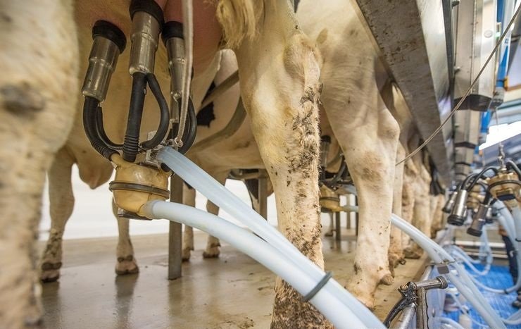 fb1166a00c9e4f17ba2965539fe8b525