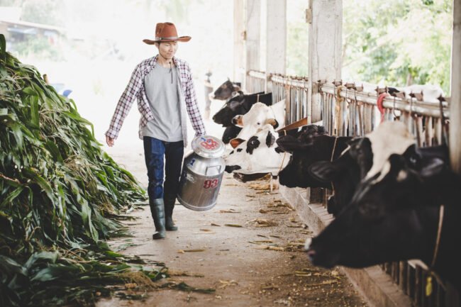 Portrait of a handsome milkman walking with milk container outdo