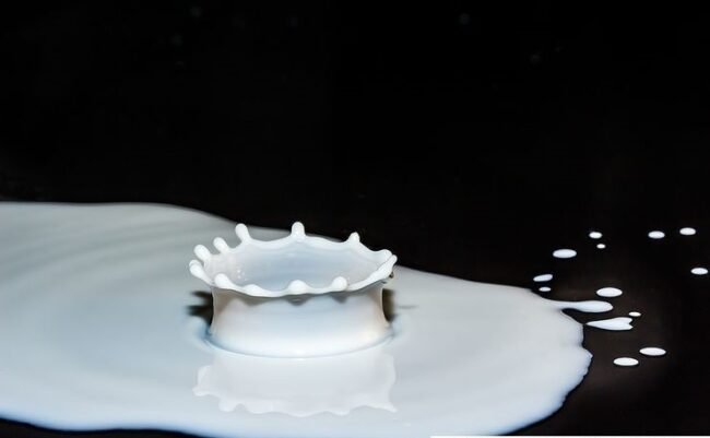 6fce2e3a79f744d29fa1fe9d0a7c548b