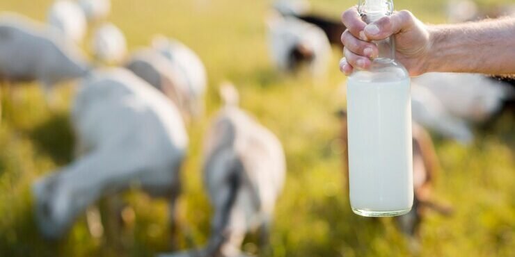 homem-de-close-up-com-garrafa-de-leite-de-cabra_23-2148672996