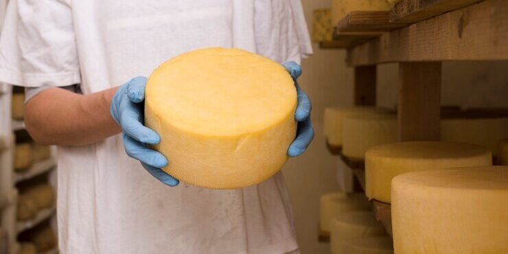 homem-segurando-um-rolo-de-queijo_23-2148432577