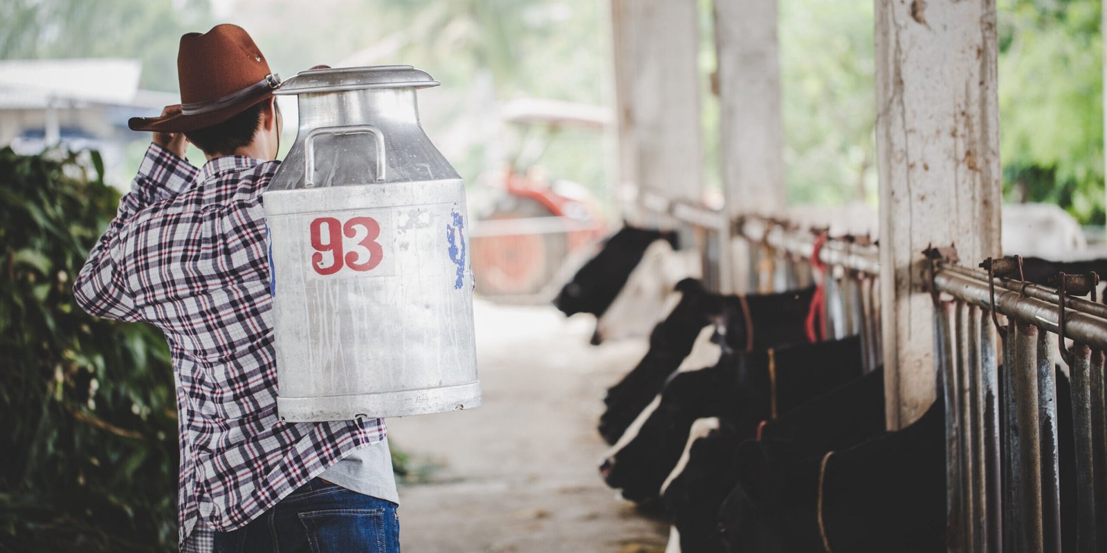 agriculture industry, farming, people and animal husbandry conce