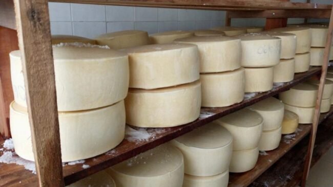 Sealba-SIE5-768×432