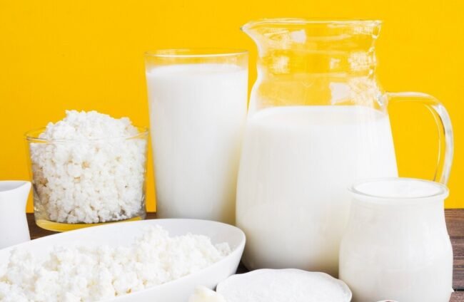 leite-requeijao-e-laticinios_23-2148211376