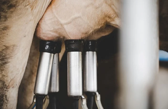 pecuaria-leiteira-leite-subcomissao-na-camara