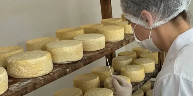 queijo-do-Serro
